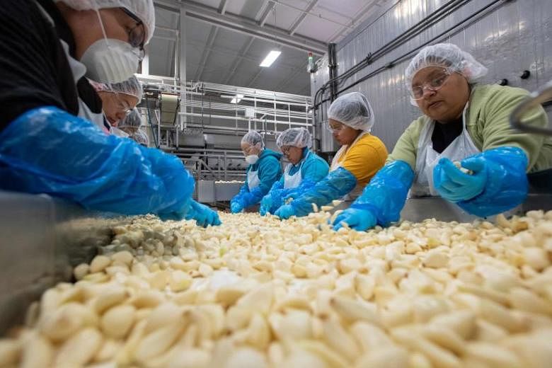 Pembelian produk pertanian AS akan didorong oleh permintaan dan daya saing pasar: pakar perdagangan AS-Cina