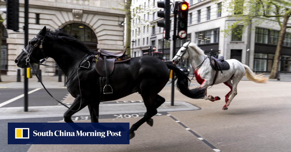 Kuda kavaleri yang melarikan diri berkeliaran di pusat kota London, melukai 4 orang pada jam sibuk